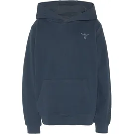 Chiemsee Sweatshirt Blue 146