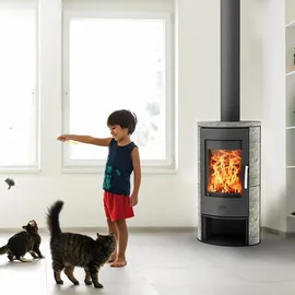 FIREPLACE Monte Carlo Speckstein