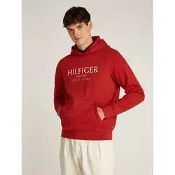 Hoodie TOMMY HILFIGER 