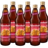 Rabenhorst Sanddorn Muttersaft BIO 6x700 ml Saft