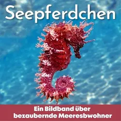 Seepferdchen