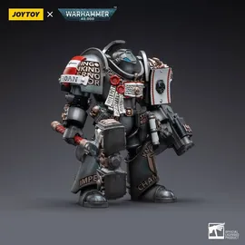 Warhammer Grey Knights Terminator Caddon Vibova 13 cm