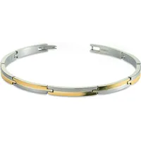 Boccia Titanium Damenarmband Titan teil-gelbgoldplattiert 03018-02 Größe 18