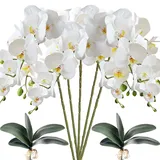 HinyoCo 5 Künstliche Phalaenopsis-Blumen,80 cm Künstliche Orchidee mit Künstliche Orchidee Blätter 2 Bündeln, Party, Büro, Terrasse, Hof, Heim-Blumendekoration (Weiß)