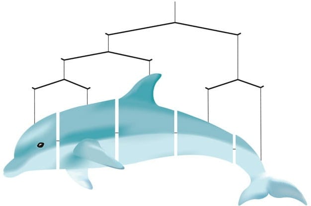 HQ Ocean Mobiles Dolphin Windspiel     