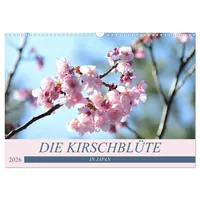Calvendo Die Kirschblüte in Japan (Wandkalender 2026 DIN A3