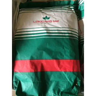 Schattenrasen Rasensaatgut 10 Kg RSM Qualität von Heinrichs Agrar