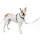 PetSafe 3-in-1-Geschirr und Rückhaltegurt, M,