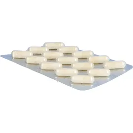 Alsitan A29 Haar-Aktiv-Kapseln Plus