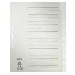 Register 12200085 blanko DIN A4 20teilig Papier grau - grau