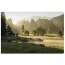Wandbild ARTLAND "Sommermorgen in den Alpen", grün (farbe bild(er): grün), B:120cm H:80cm T:1,8cm, Canvas, Leinwand, Bilder, als Leinwandbild, Wandaufkleber in verschied. Größen