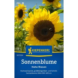 Kiepenkerl Sonnenblume Hohe Riesen Helianthus annuus