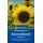 Kiepenkerl Sonnenblume Hohe Riesen Helianthus annuus