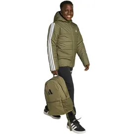 adidas Winterjacke Olive Strata/White 152