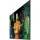 Samsung QM75C (75") (LH75QMCEBGCXEN)
