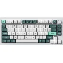 Keychron Q1 HE Kabellose Tastatur RGB Nebula, Switch Knob Version - White, US