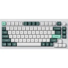 Keychron Q1 HE Kabellose Tastatur RGB Nebula, Switch Knob Version - White, US