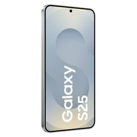 Samsung Galaxy S25 5G Enterprise Edition 256 GB Silver Shadow