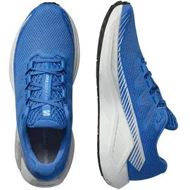 Salomon Drx Defy Grvl Herren French Blue/White/Cherry Tomato 44