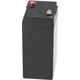 KungLong 3-FM-4 6V 4500 mAh 1 St.