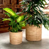 DARO DEKO Rattan Korb Topf Ø 31 x 31cm rund Blumentopf geflochten Aufbewahrungskorb Übertopf Blumenkorb