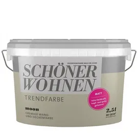 Schöner Wohnen Trendfarbe 2,5 l moon matt