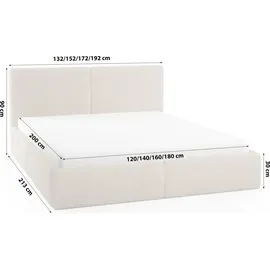 FEDVE Polsterbett Doppelbett Riberia Slim Bett mit Bettkasten 180x200 - Beige