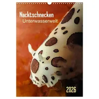 Calvendo Nacktschnecken - Unterwasserwelt 2026 (Wandkalender 2026 DIN A3