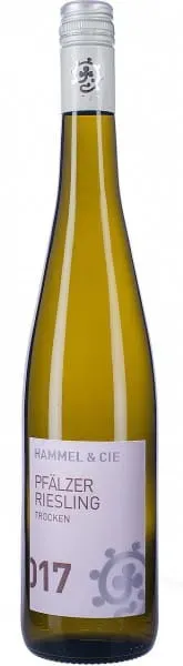 Lokalmatador Pfälzer Riesling Weingut Hammel & Cie 2024