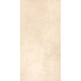 Euro Stone Bodenfliese Feinsteinzeug Atlas weiß-beige 30 x 60 cm