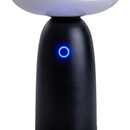 NÄVE LED Solarleuchte »Ada« schwarz