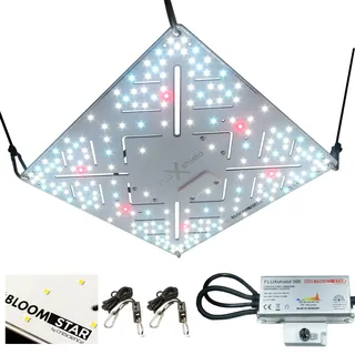 Bloomstar by Crescience Fluxshield 300 Grow Lampe mit Samsung LM301H Evo LED, MeanWell Driver, dimmbare Vollspektrum cannabis Pflanzenlampe Grow Light für Indoor Anbau Netherlands Amsterdam Houses