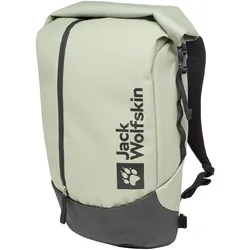 Jack Wolfskin Rucksack All-In Pack 30 mint leaf
