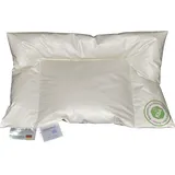 VitaSchlaf Bio-Luxe-KBA Organic 100% Daune GÄNSE Daunendecke BabyJunior Made Deutschland 3 Größen (40 x 60 cm)