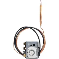 Jumo 60003291 Temperaturbegrenzer