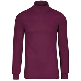 TRIGEMA Rollkragenshirt »TRIGEMA Langarm Ski- und Sport-Rollkragenpullover« 1 Stk., rot