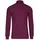 TRIGEMA Rollkragenshirt »TRIGEMA Langarm Ski- und Sport-Rollkragenpullover« 1 Stk., rot