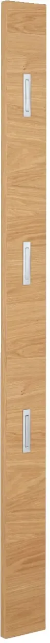 VOSS Garderobenpaneel SOLO - B/H/T ca. 14,00x170,00x3,00