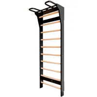Fitwood AARNI Sprossenwand