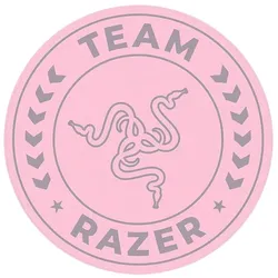 RAZER Team Razer Floor Rug pk/quartz