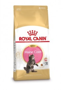 Royal Canin Kitten Maine Coon kattenvoer  10 kg
