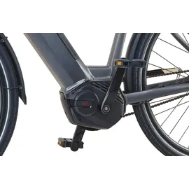 Prophete Geniesser 3.0 28 Zoll RH 48 cm Grau Metallic Matt