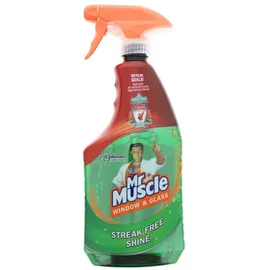 Mr Muscle Fenster- und Glasreiniger Spray 750 ml
