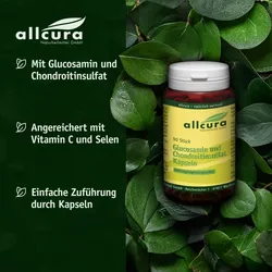 GLUCOSAMIN UND Chondroitinsulfat Kapseln 90 St