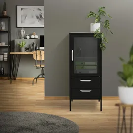 ML-Design Vitrinenschrank 42 x 102 x 40 cm Schwarz