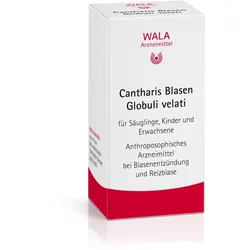 Cantharis Blasen Globuli velati