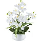 Kunstorchidee Orchidee Phalaenopsis, Creativ green, Höhe 55 cm, mit Farnzweigen weiß