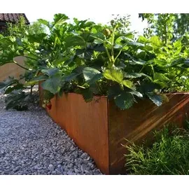 Palatino Cortenstahl-Pflanzrahmen Carlotta, ca. B120/H25/T40 cm,