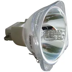 Beamerlampe (nur Leuchtmittel) für DIGITAL PROJECTION (ersetzt: 111-146)