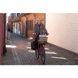 Atran Velo Fahrradkorb Bring M AVS Silber